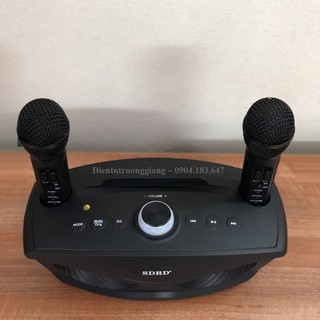 Loa Bluetooth Karaoke SDRD SD-306 kém 2 Micro