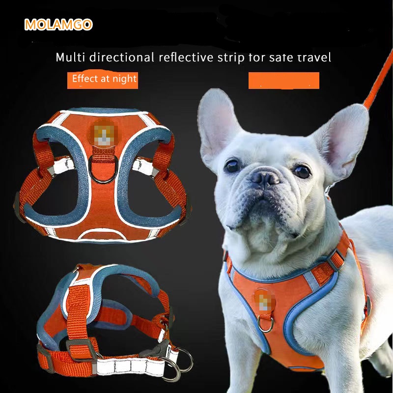 Dây Dắt Thú Cưng Đi Dạo Kèm Dây Dắt Tiện Dụng Cho Cún Cưng