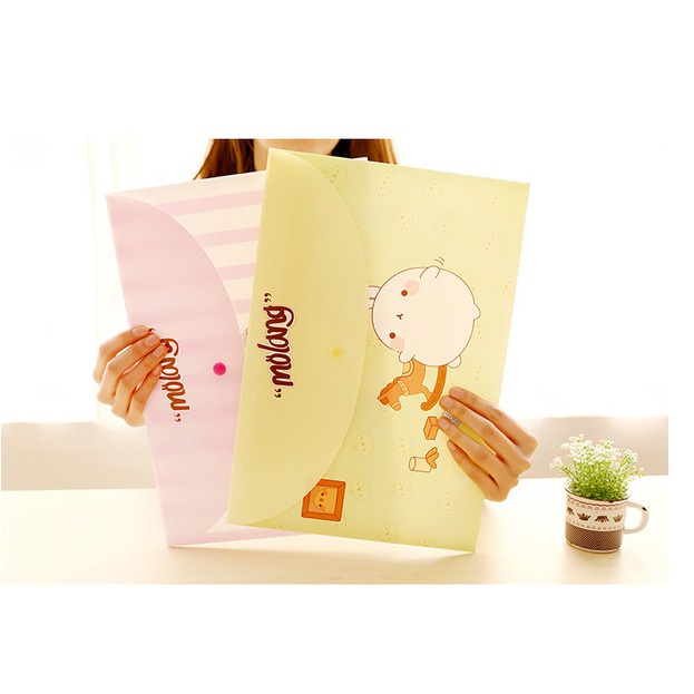 Túi đựng tài liệu size A4 mẫu Molang