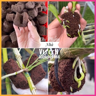 Van Tưới Nhỏ Giọt