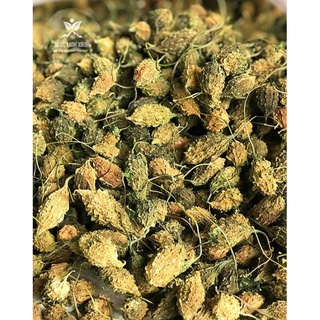 Quả mướp đắng rừng túi 1kg 500gram