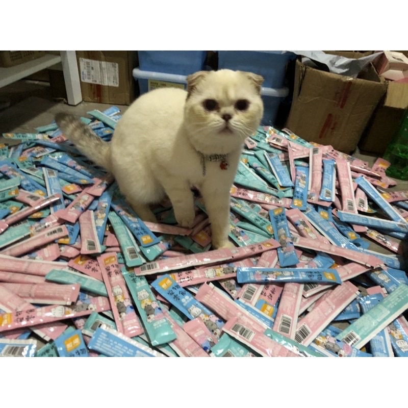 Combo 100 thanh súp thưởngn Shizuka siêu ngon, súp thưởng cho mèo, súp thưởng giá rẻ chất lượng nhiều dinh dưỡng