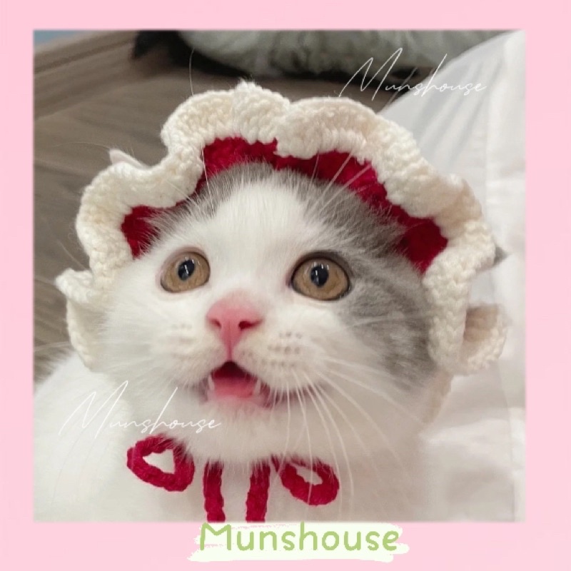 Mũ bèo viền trắng xinh cho thú cưng