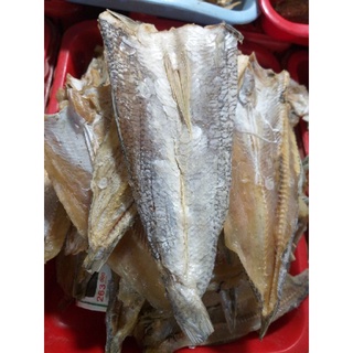500g khô cá mối xẻ ngon rẻ- cá biển phan thiết