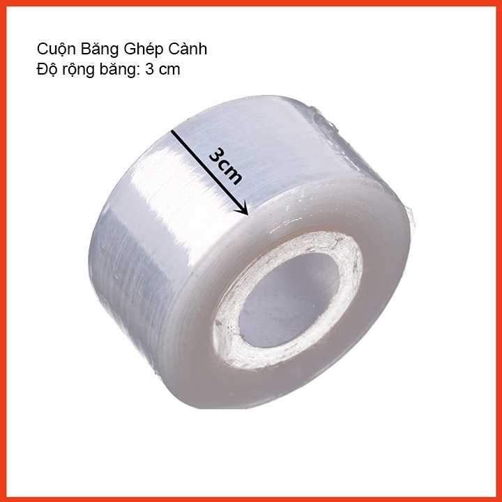 Băng Keo Ghép Cây Tự Hủy 120m