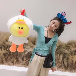 Túi sưởi điện gấu Brown siêu cấp