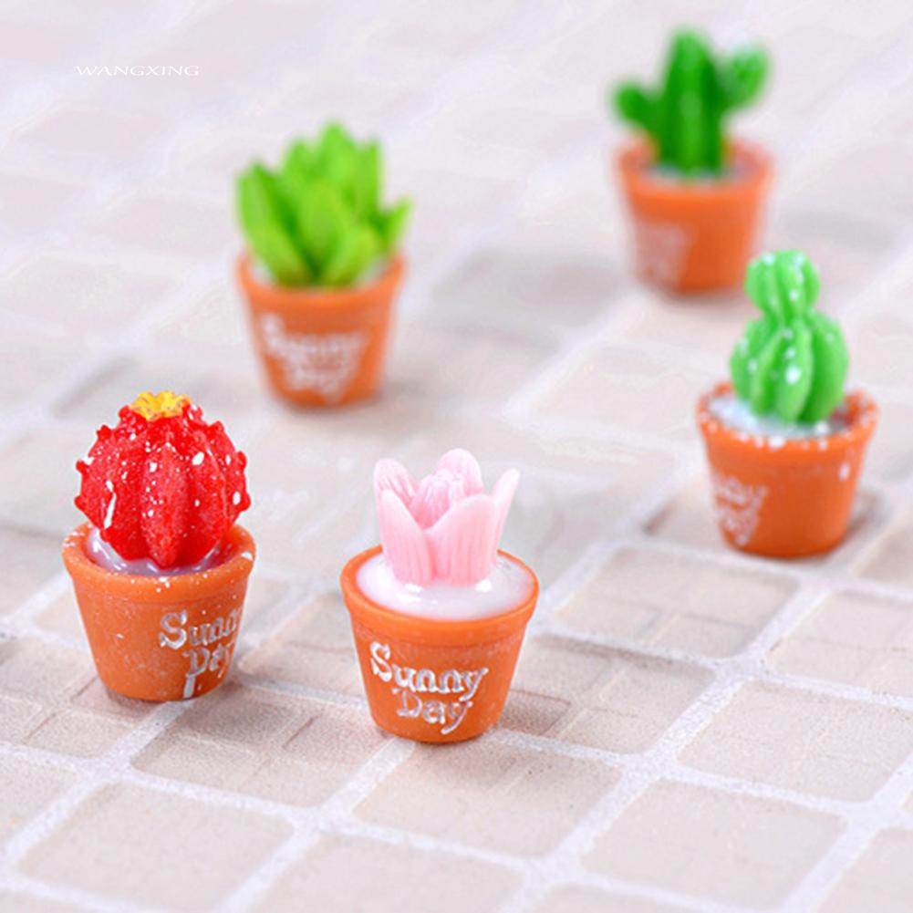 Set 2 mô hình cây xương rồng dùng trang trí sân vườn