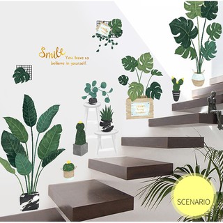 Decal dán tường Chậu cây xanh size to trang trí nhà cửa