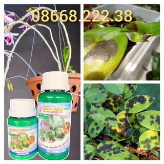 Thuốc Nấm Azoxy Gold 600SC ( Chai 240ml) Pha đc 160 lít nước
