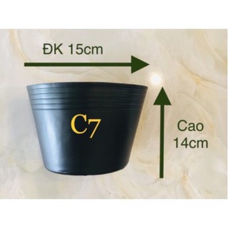 50 chậu nhựa trồng cây, ươm cây C7 chuyên dụng