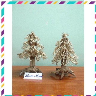 [Siêu Rẻ] Lũa bonsai cây thông noel trang trí bể cá thuỷ sinh