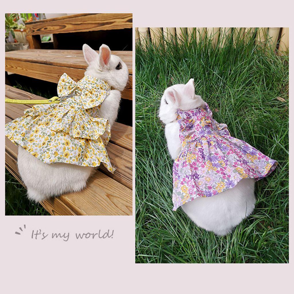 Mocho Đầm Cotton Nhẹ In Hoa Mềm Mại Kèm Dây Dắt Dành Cho Thú Cưng