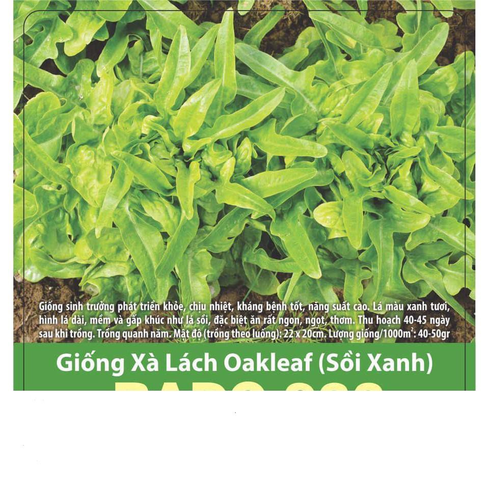 Hạt Giống Xà Lách Oakleaf (Sồi Xanh) 2gr