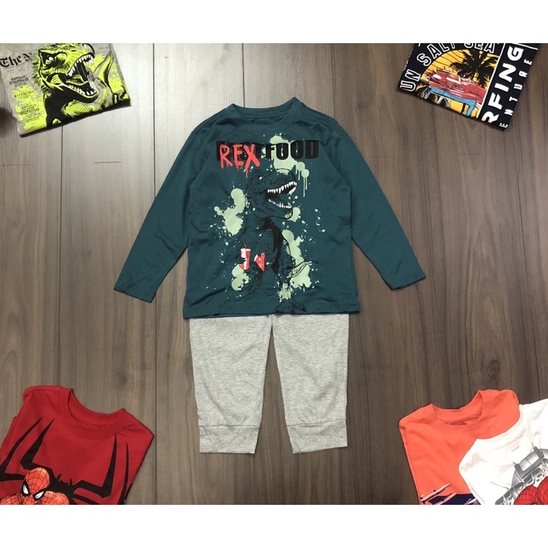 Bộ cotton dài tay place in hình cho bé trai dòng đại 14-47kg