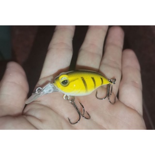 mồi lure chubby câu Lóc, rô, tráp vv...