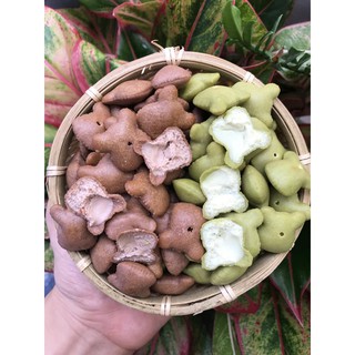 Bánh Gấu Mix Socola Và Chùm Ngây Kem( Bisushop ) 250G / 500G / 1 KG