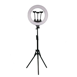 Đèn Livestream size 26 33 36 45 54cm và chân 2m1 Hỗ Trợ Chụp Ảnh Make up Trang Điểm quay tiktok, bán hàng