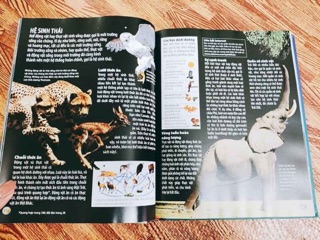 Giấy dán tường