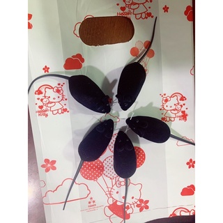 Chuột đồ chơi cho mèo- chó