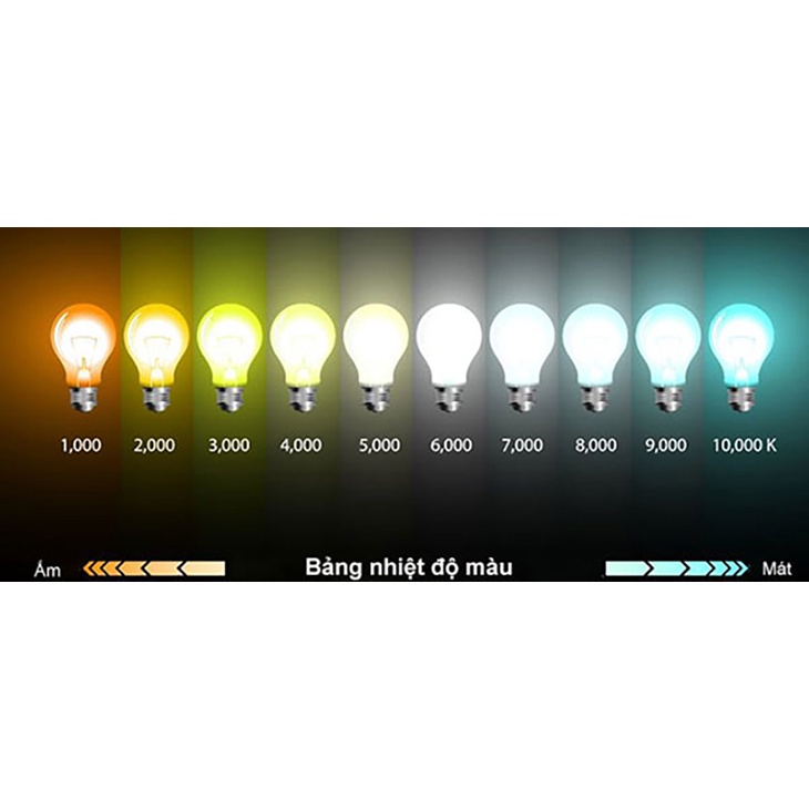 LED dây 2835 12V cuộn 5m - 60 led/Mét có keo 2 mặt Ánh sáng trắng, vàng ấm, trung tính