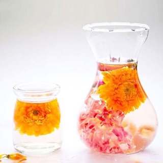Trà hoa cúc kim tiền