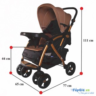 XE ĐẨY 2 CHIỀU BAOBAOHAO C8-605