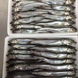 CÁ TRỨNG NAUY 500g