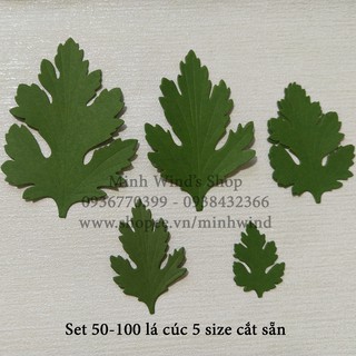 Set 100 lá cúc 5 size to nhỏ cắt sẵn