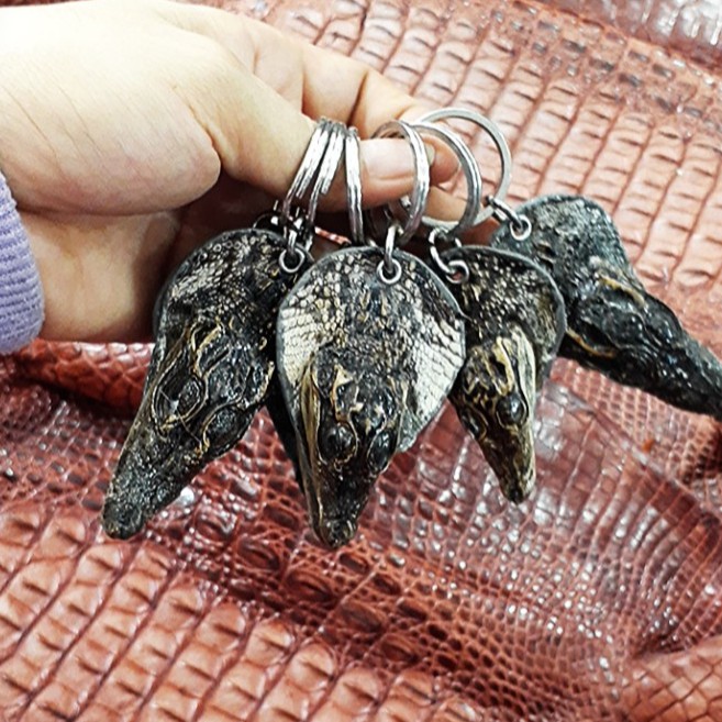 MÓC KHÓA ĐẦU CÁ SẤU , MÓC CỬA , MÓC XE....