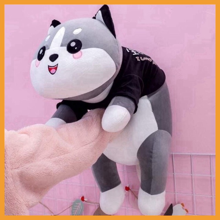 Gấu bông giá rẻ husky ôm ngủ mèo cute đồ chơi đáng yêu cho bé size 50cm