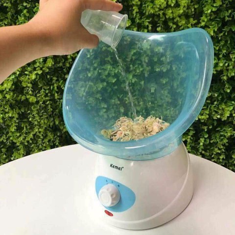 Máy Xông Hơi Mặt Hoa Qủa Tươi Tự Động Kemei Có 2 Mức Nóng