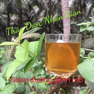 100g lá ổi phơi khô