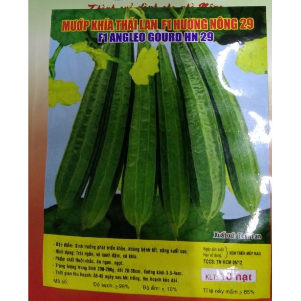 HẠT GIỐNG MƯỚP KHÍA THÁI LAN F1 ruột chắc - GÓI 10 HẠT