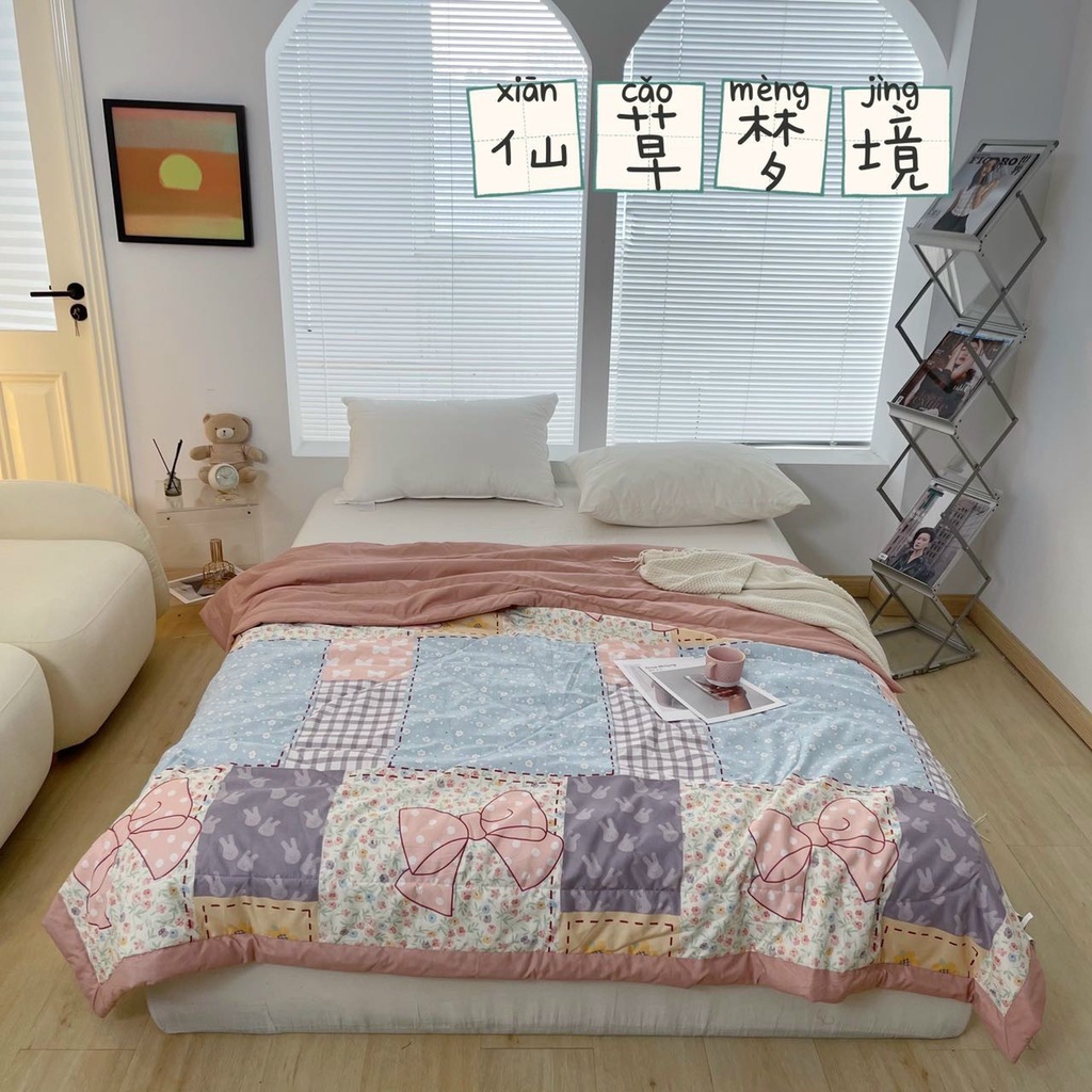 Chăn đũi hè mát kèm túi đựng cao cấp 2mx2m2  chuyên sỉ chăn ga gối