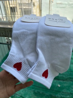 COMBO 10 ĐÔI VỚ VẢI COTTON HÀN QUỐC