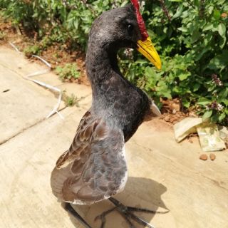 Cúm núm giả nhồi keo