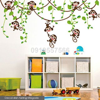 Decal giàn leo khỉ