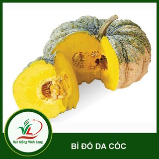 Hạt giống Bí đỏ da cóc RD 565 - 5 hạt