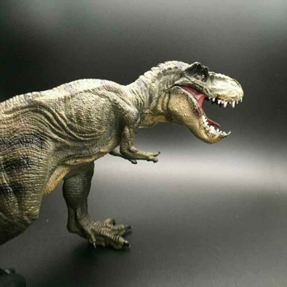 Mô Hình Khủng Long T-Rex Tyrannosaurus Rex Chân Thật