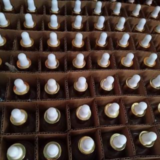 Thay da sinh học - nước lột da cao cấp ( chai)