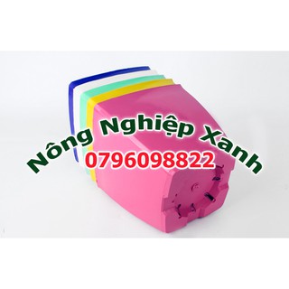 Chậu trồng cây hình vuông cỡ 2