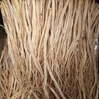 [FREESHIP 99K TOÀN QUỐC Đảng sâm 100g