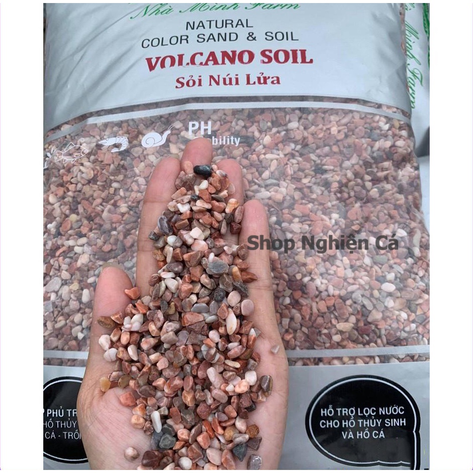 Sỏi Núi Lửa 1kg - Trải Nền Trang Trí Bể Cá, Bể Thủy Sinh