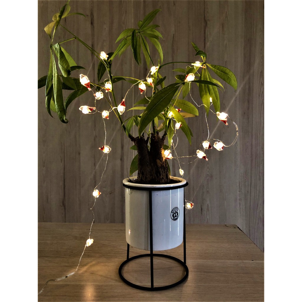 Dây đèn led 30 bóng dài 3m hình Santa trang trí giáng sinh noel phòng ngủ GIVASOLAR-ML7