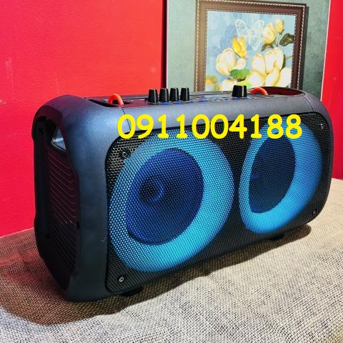 Loa karaoke mini di động Temeisheng 6616 LED Âm thanh siêu chất lượng + Tặng kèm 2 micro hút âm hát karaoke hay