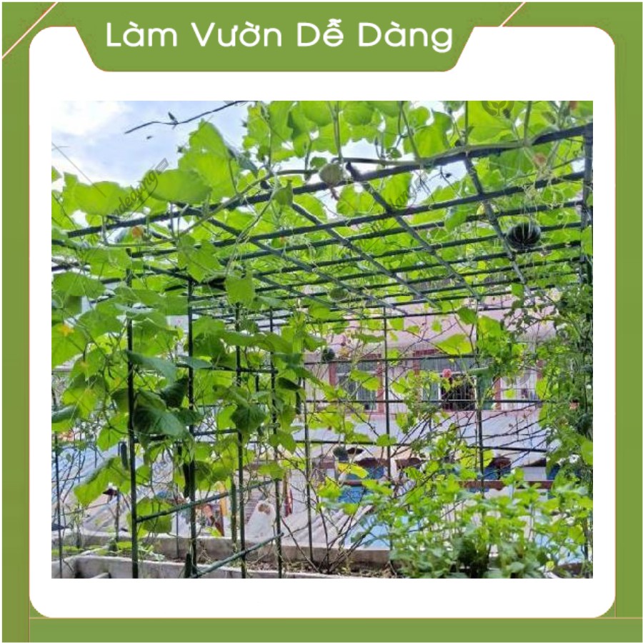 Ống Thép Bọc Nhựa - COMBO 5 (Phi 11mm - Dài 60cm)Dùng làm Khung Đỡ,Giá Đỡ Hoa Hồng Leo,Giàn Leo Bầu Bí Mướp,Khu