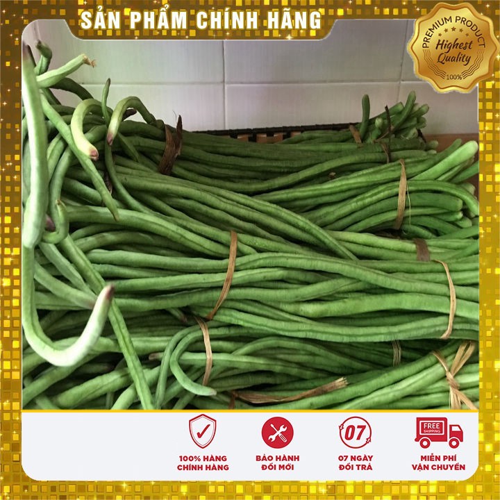 Hạt giống Đậu Đũa 20Gram [Bán Sỉ]