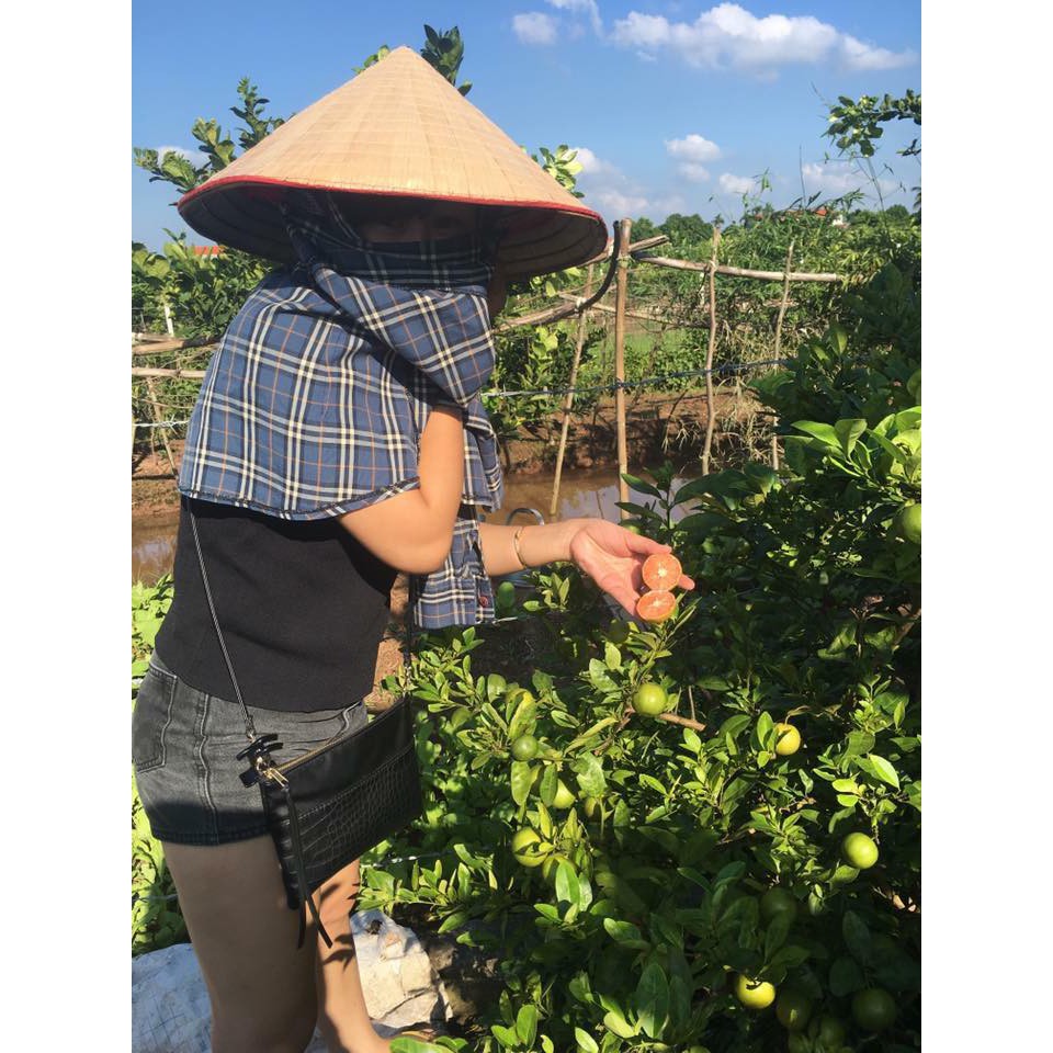 Chanh đào ngâm mật ong | BigBuy360 - bigbuy360.vn