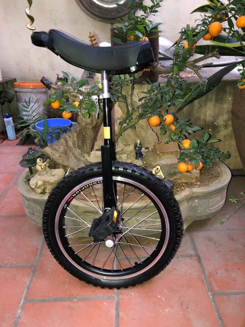 Xe đạp 1 bánh 18 inch - Màu Đen