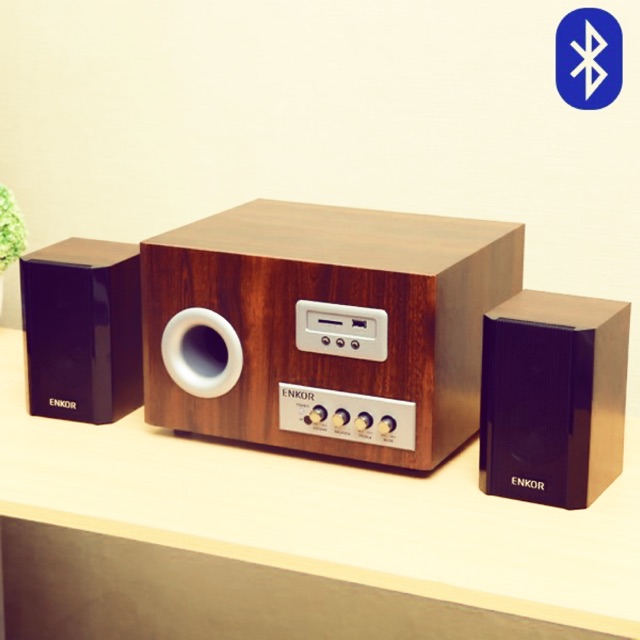 Loa Vi Tính Bluetooth 2.1 Enkor S2850 Likenew